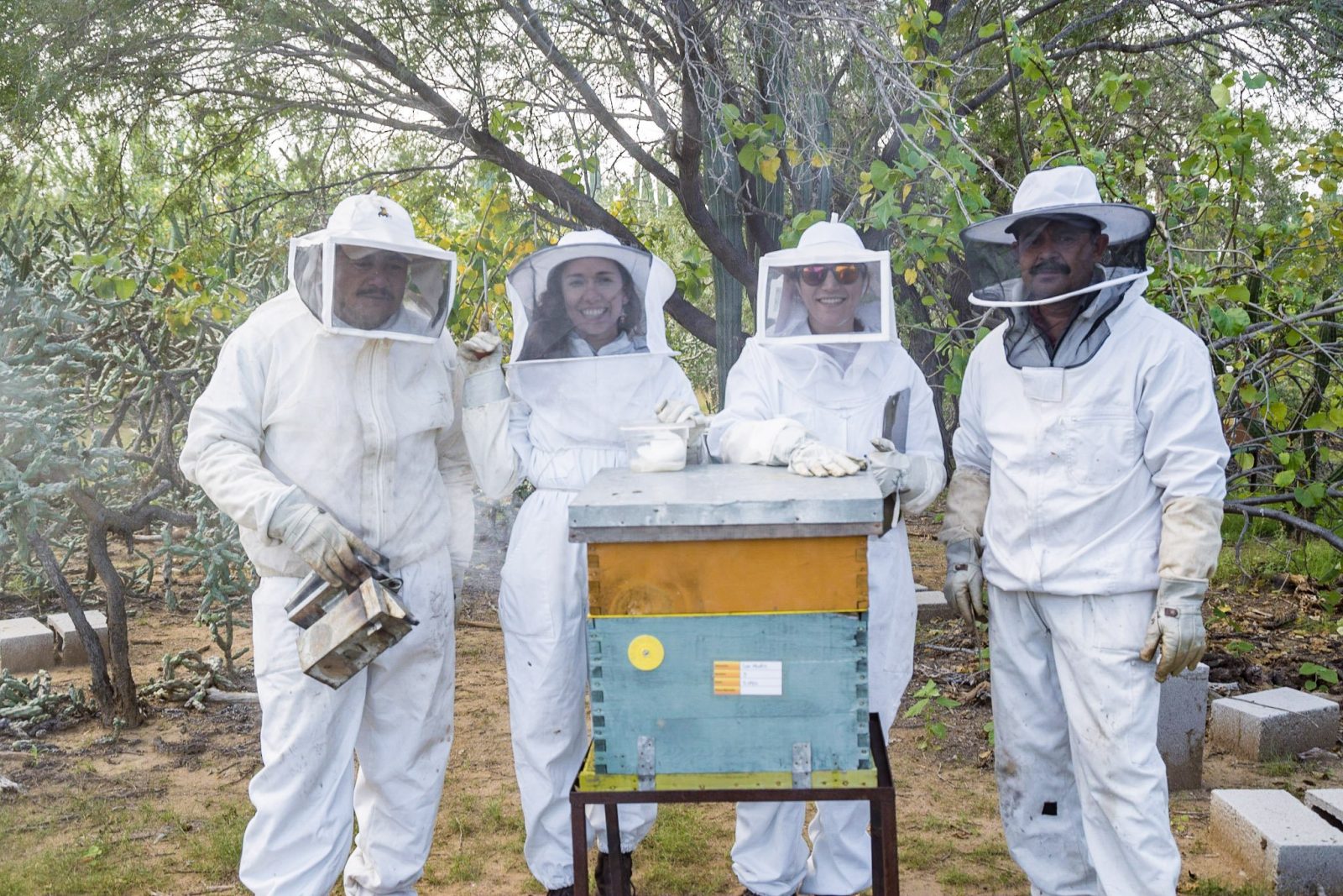 Scientific Beekeeping Training Camp